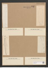 Nitzschia vitrea var. recta (Hantzsch.) V. H. (de-Toni-Nr.: Genus 47, Species 2112) Zeichnungen Sammlung Grunow Nr. 4235 (NHMW-BOT-W0372193)